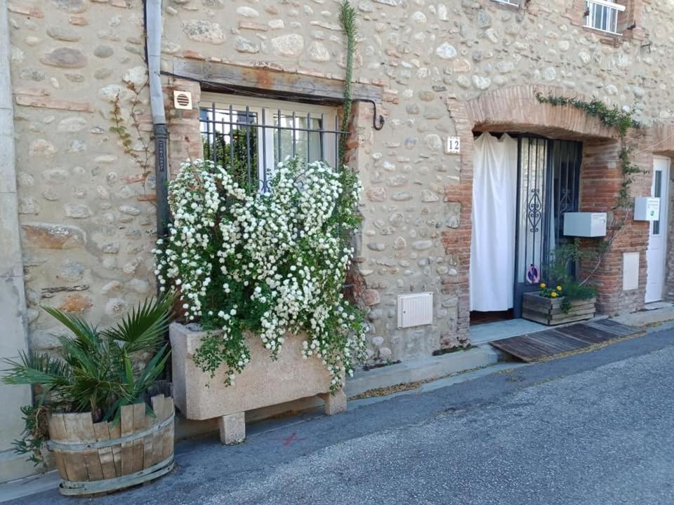 BELLE MAISON DE CARACTERE DE VILLAGE et STUDIO PISCINE Privée 9 PERS Millas Exterior foto