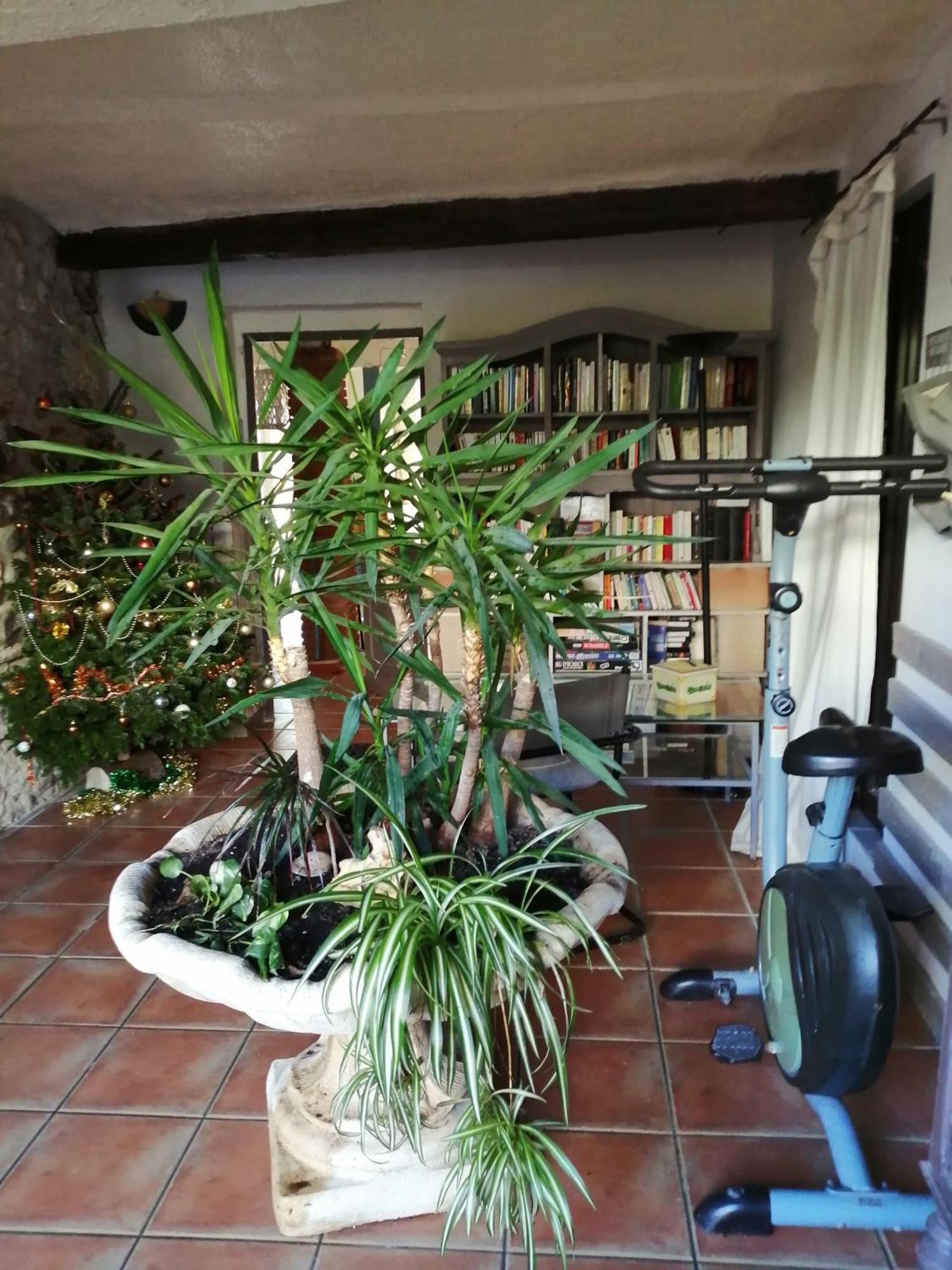 BELLE MAISON DE CARACTERE DE VILLAGE et STUDIO PISCINE Privée 9 PERS Millas Exterior foto